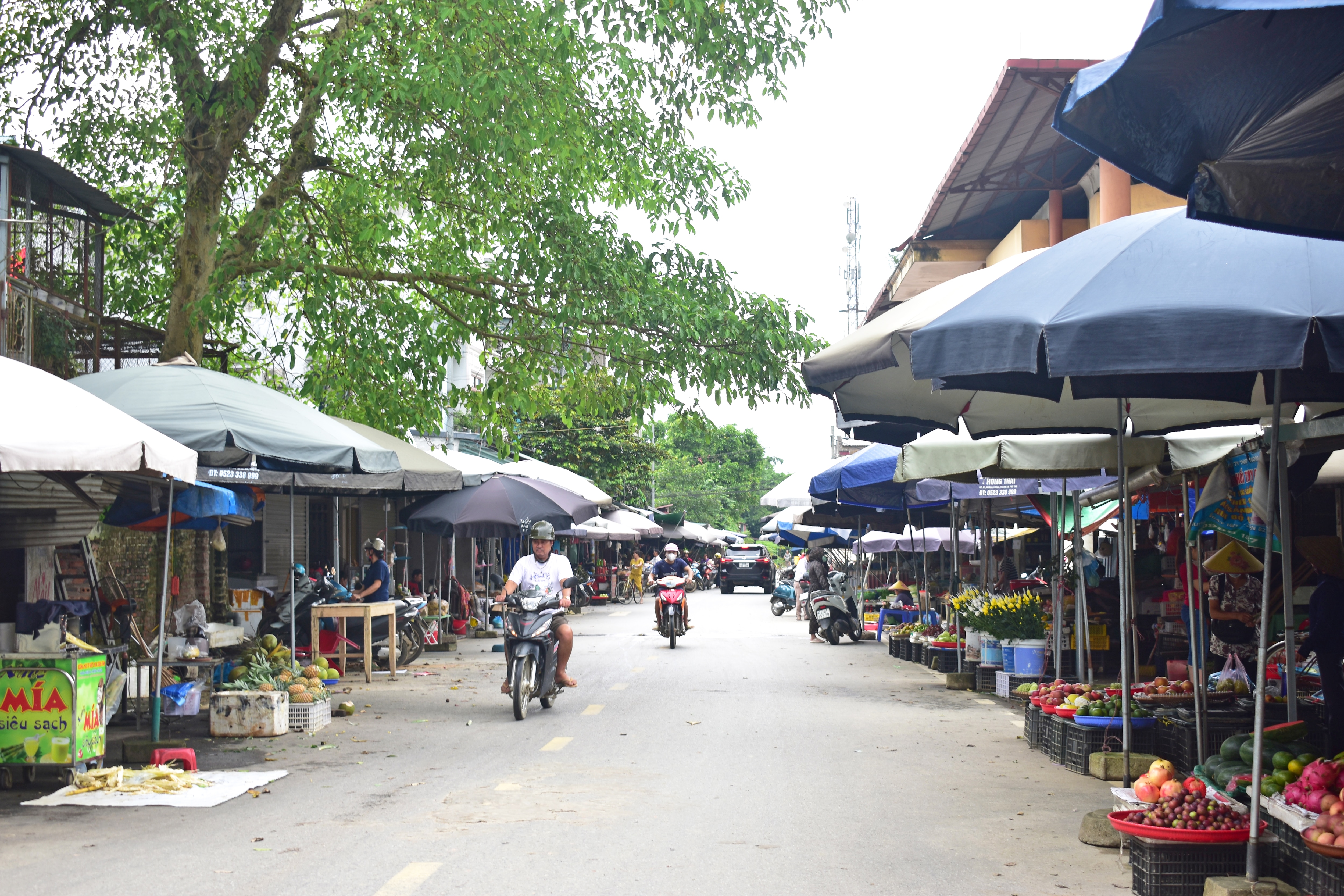 Nhịp sống sau thiên tai