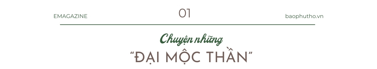 “Cây thiêng” trên đất cội nguồn Kỳ I: Những nhân chứng của lịch sử