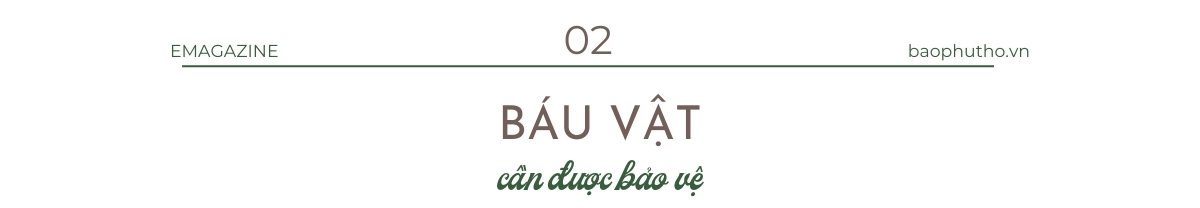 Kỳ II: Đã vinh danh phải... hữu danh!