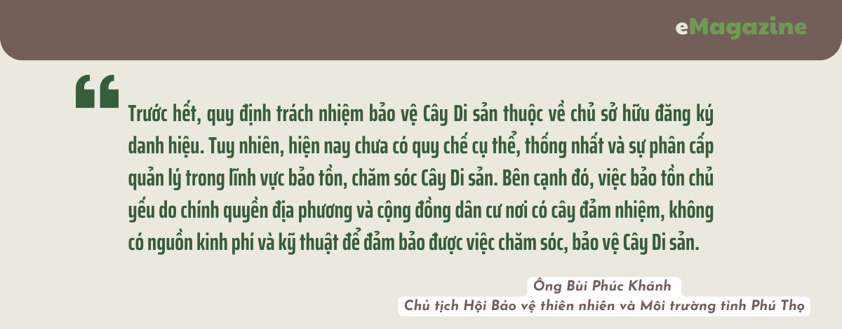 Kỳ II: Đã vinh danh phải... hữu danh!