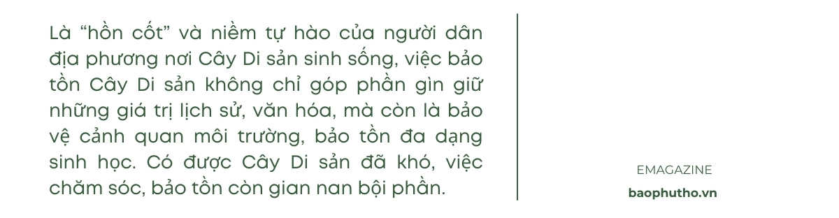 Kỳ II: Đã vinh danh phải... hữu danh!