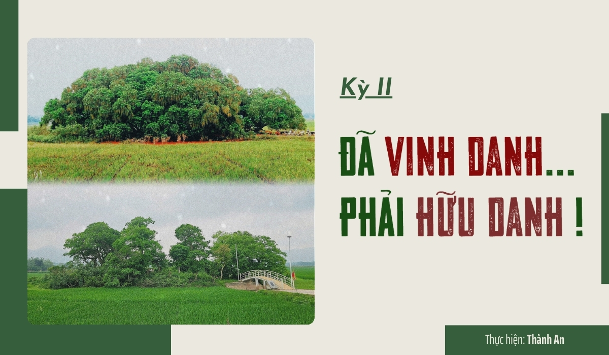 Kỳ II: Đã vinh danh phải... hữu danh!