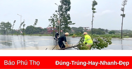 Các địa phương tập trung khắc phục thiệt hại sau Cơn bão số 3