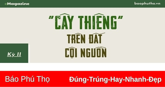 Đã vinh danh phải... hữu danh!