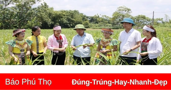 Đổi thay từ chính sách dân tộc