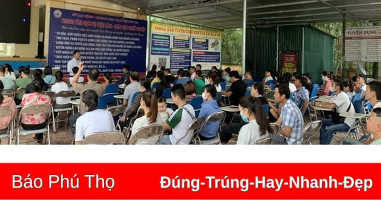 Hợp tác giữa huyện Tân Sơn và thành phố Hwaseong, Hàn Quốc theo chương trình lao động thời vụ