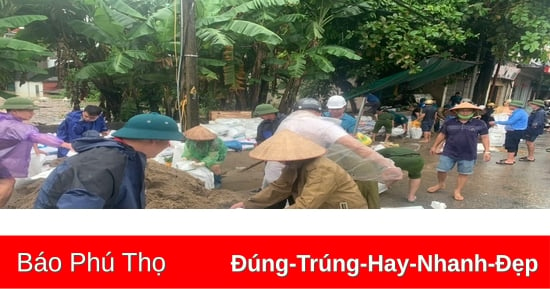 Huy động lực lượng tập trung đắp đập chắn lũ tại thị trấn Đoan Hùng và xã Vụ Quang