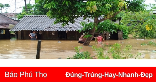 Huyện Cẩm Khê tập trung khắc phục hậu quả cơn bão số 3