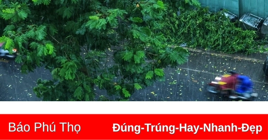 Khu vực Bắc Bộ và Thanh Hóa mưa to, có nơi mưa rất to và dông