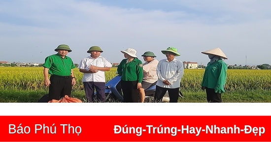 Kịp thời chỉ đạo sản xuất ứng phó với cơn bão số 3