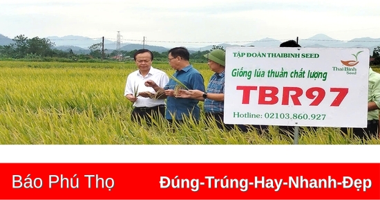 Mô hình quản lý cây trồng tổng hợp IPM/IPHM mang lại hiệu quả kinh tế cao