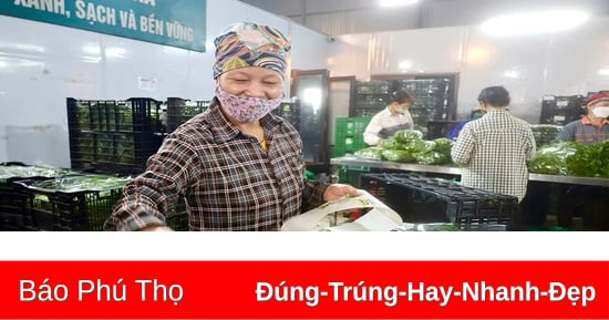 Nâng cao giá trị sản phẩm hàng hóa