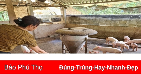 Nỗ lực thực hiện hiệu quả các chính sách dân tộc