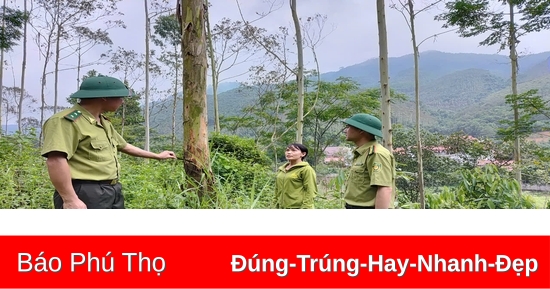  Quản lý rừng bền vững