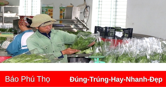 Rau an toàn Tứ Xã được công nhận là Hợp tác xã tiêu biểu toàn quốc