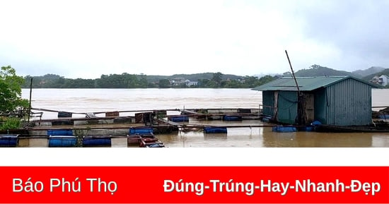 Thực hiện các biện pháp khôi phục sản xuất thủy sản sau cơn bão số 3