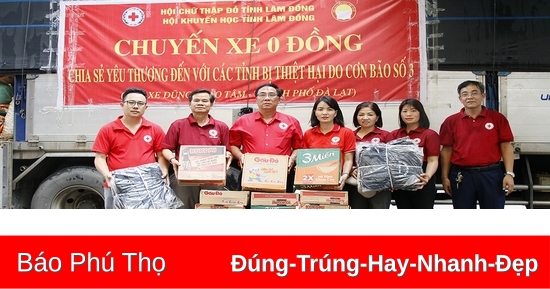 Tiếp nhận 4 tấn hàng hoá, nhu yếu phẩm hỗ trợ từ Lâm Đồng