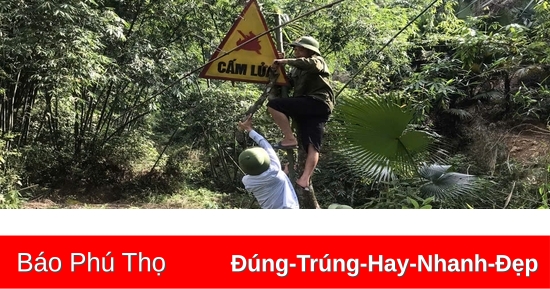 Trên 9 tỷ đồng hỗ trợ khoán, bảo vệ rừng