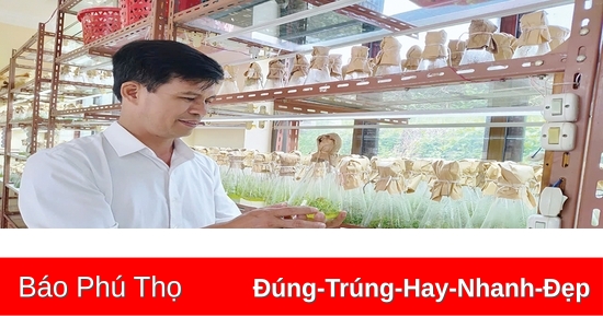 Ứng dụng khoa học kỹ thuật trong sản xuất cây giống