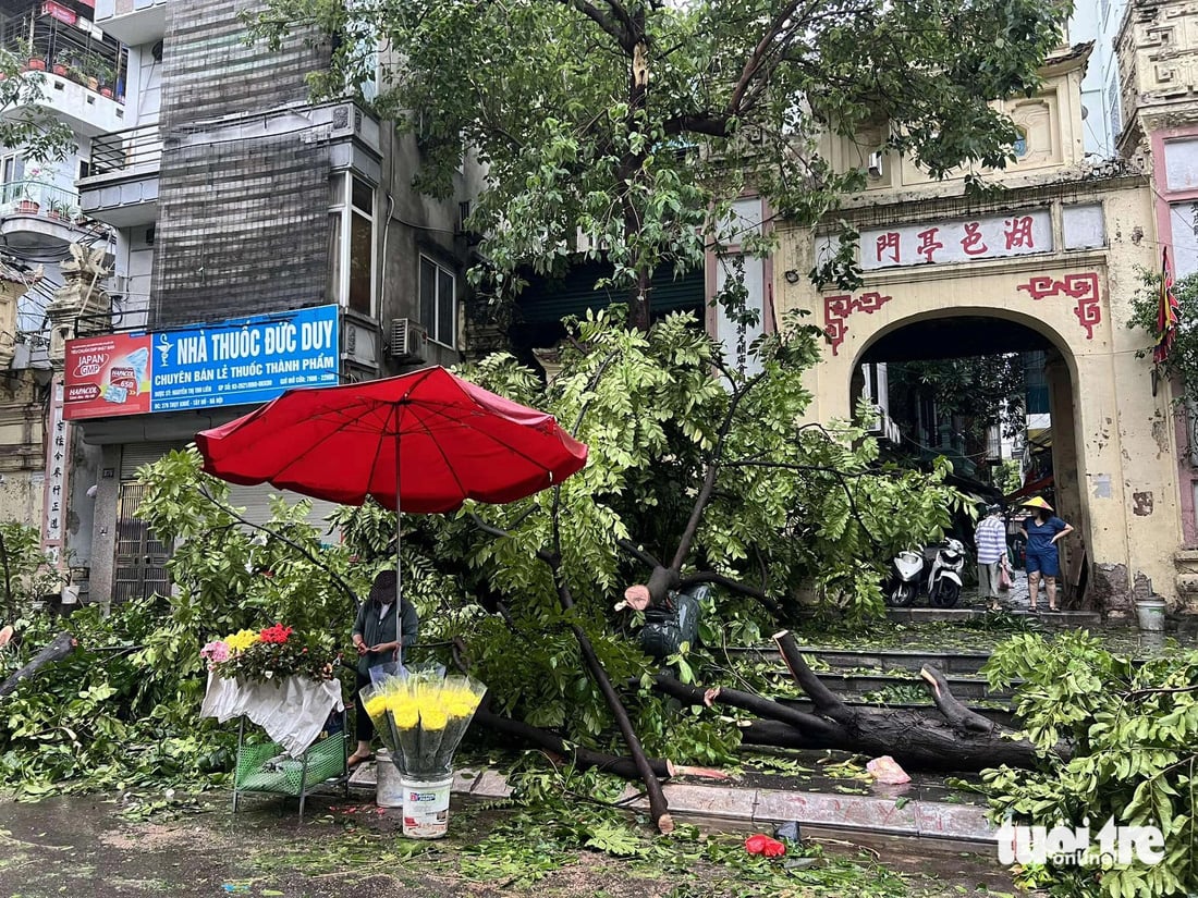 Sau ngày đêm bão số 3 càn quét khủng khiếp: Các tỉnh miền Bắc ngổn ngang chưa từng thấy - Ảnh 2.