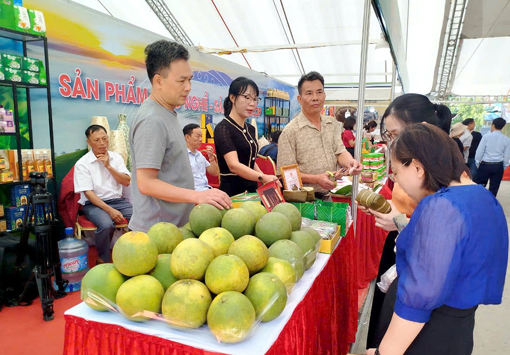 Nâng cao giá trị nông sản qua xúc tiến thương mại