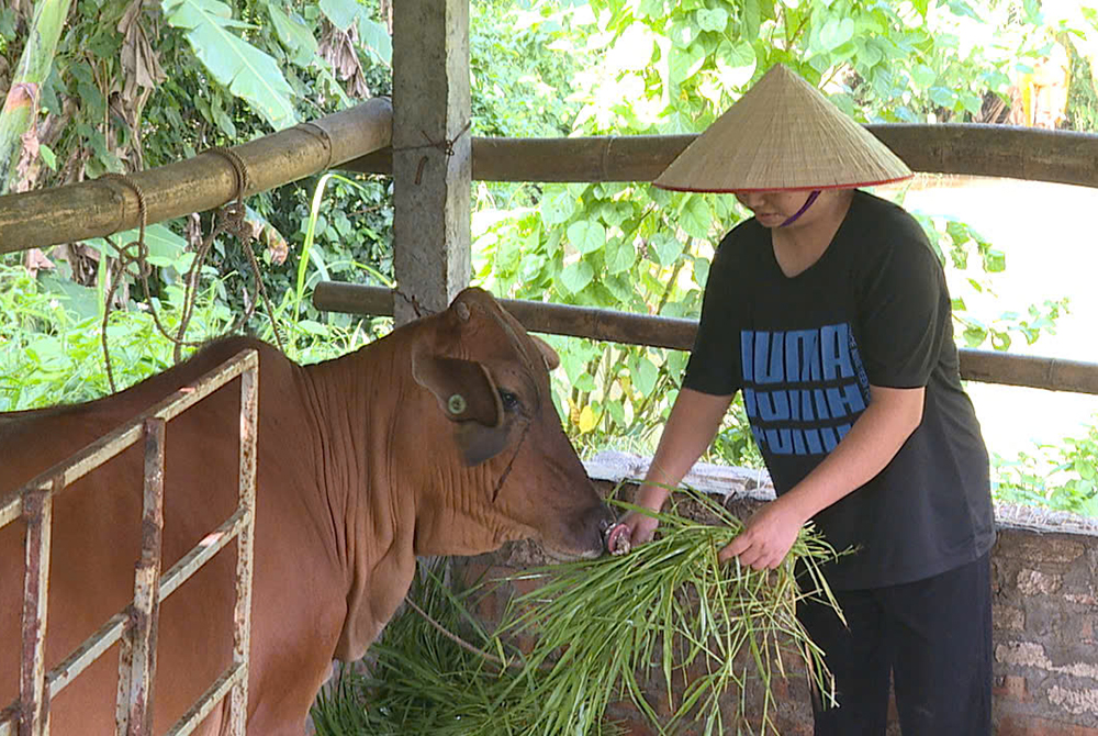 Trao sinh kế, giúp thoát nghèo