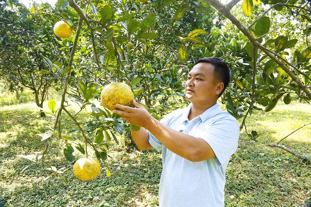 Đồng hành với thanh niên dân tộc thiểu số khởi nghiệp