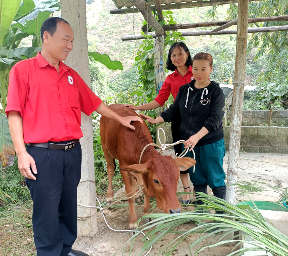 Giảm nghèo bền vững, đảm bảo an sinh xã hội