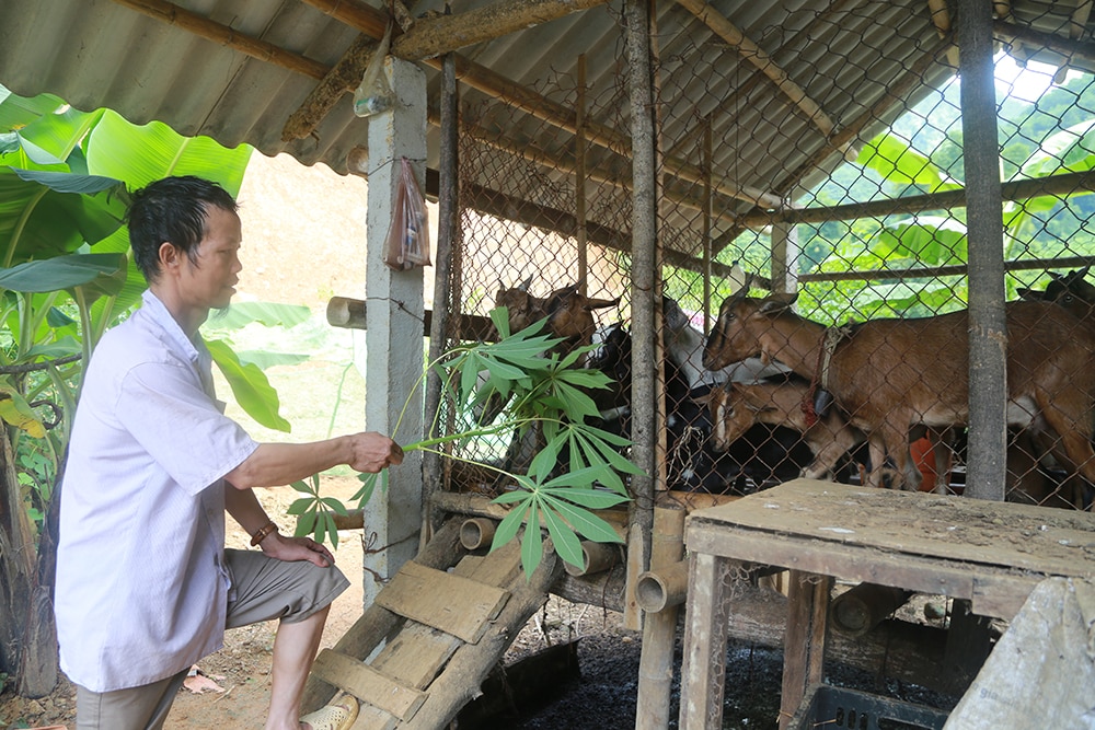 Trao cơ hội việc làm cho người nghèo