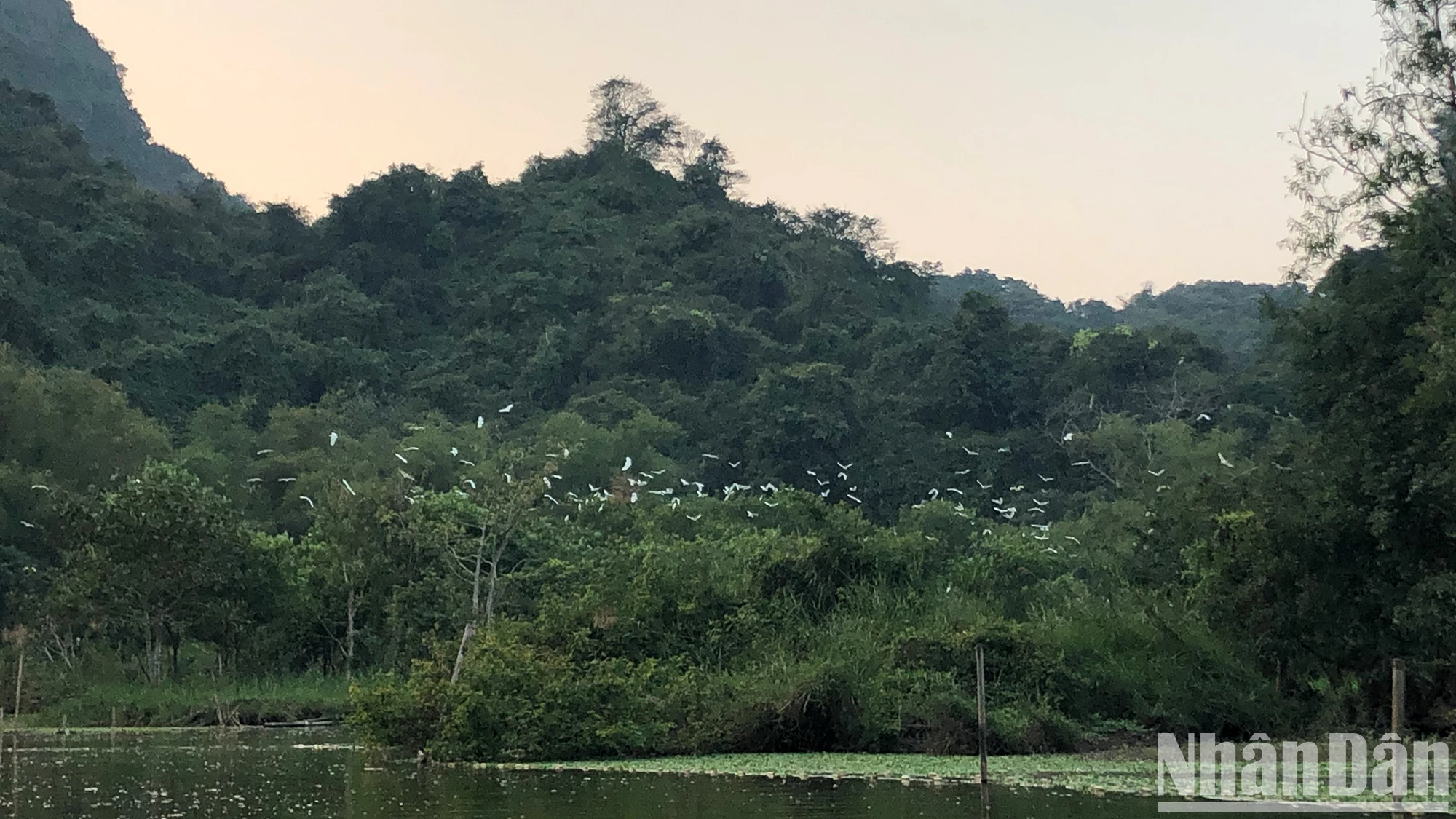 Đưa Ninh Bình trở thành trường quay quy mô lớn