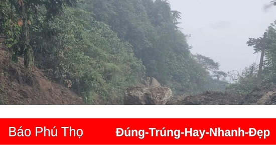 Giữ rừng để giảm nhẹ thiên tai