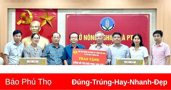 Tiếp nhận giống khôi phục sản xuất sau bão số 3