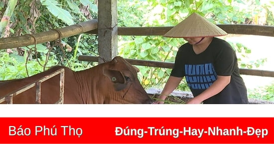 Trao sinh kế, giúp thoát nghèo