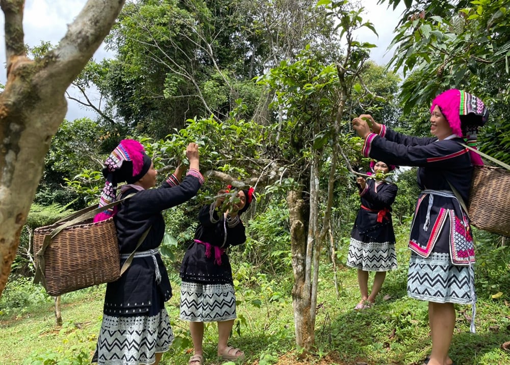 Nâng tầm du lịch cộng đồng