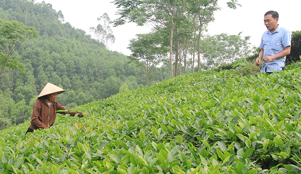 Giảm nghèo ở Đồng Xuân