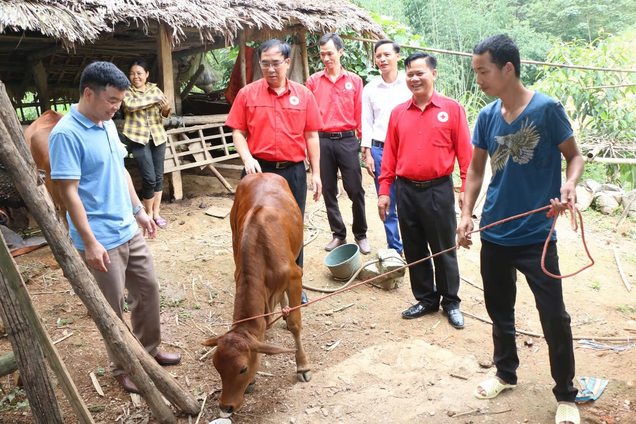 Nhìn lại nửa nhiệm kỳ thực hiện Nghị quyết Đại hội Đại biểu Hội Chữ thập đỏ tỉnh Phú Thọ