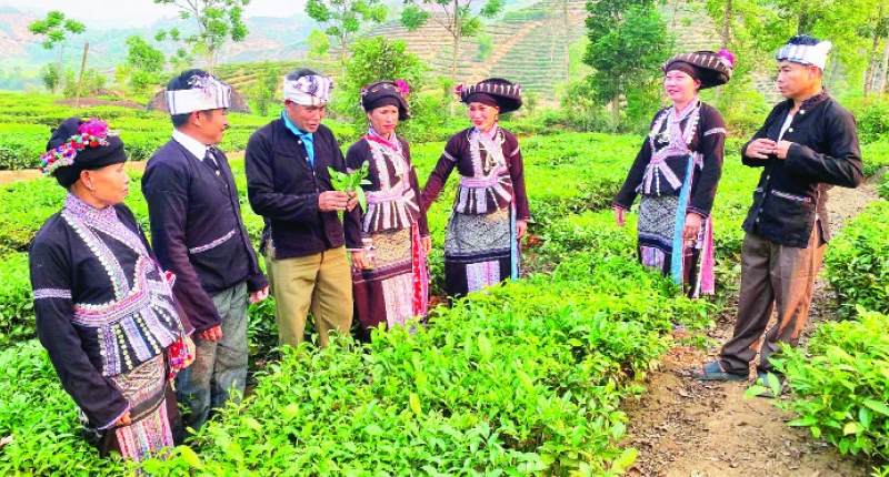 Đổi thay ở vùng cao Nậm So