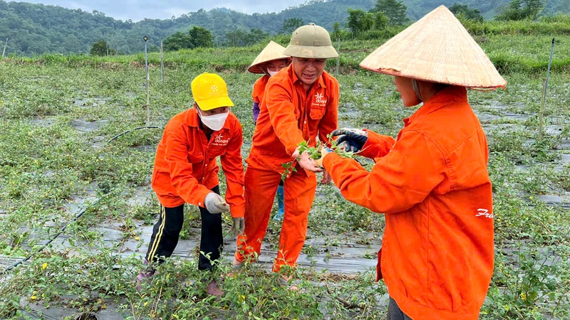 Tạo sinh kế cho đồng bào dân tộc thiểu số