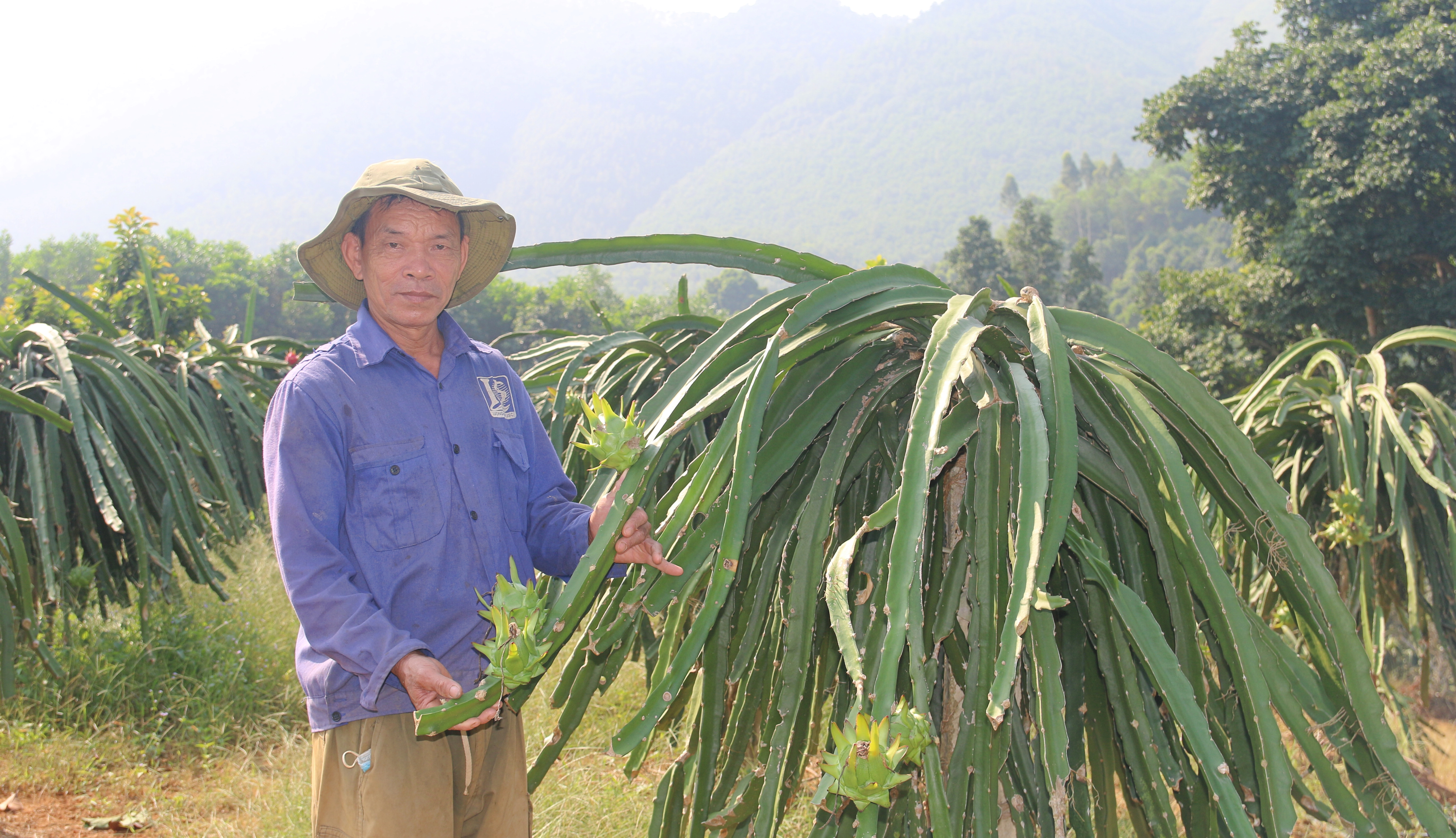 Làm giàu trên quê hương