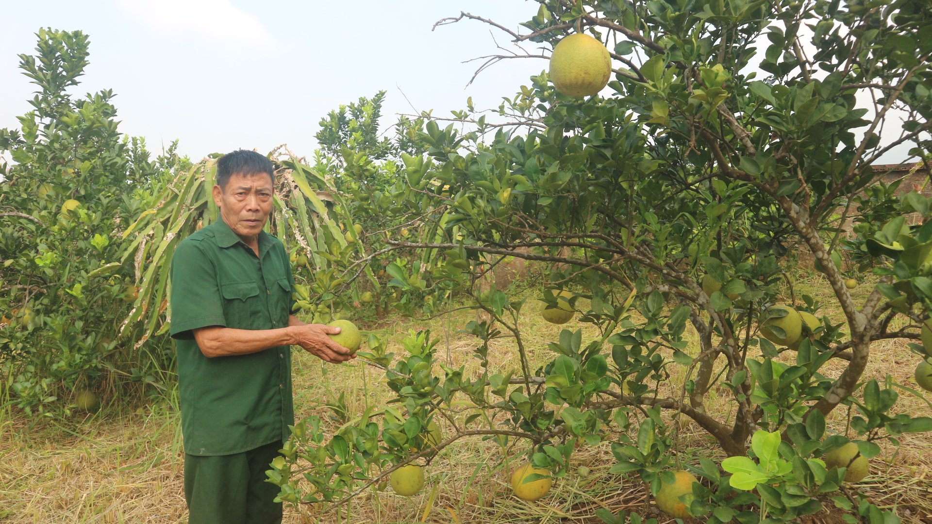 Người có uy tín làm kinh tế giỏi