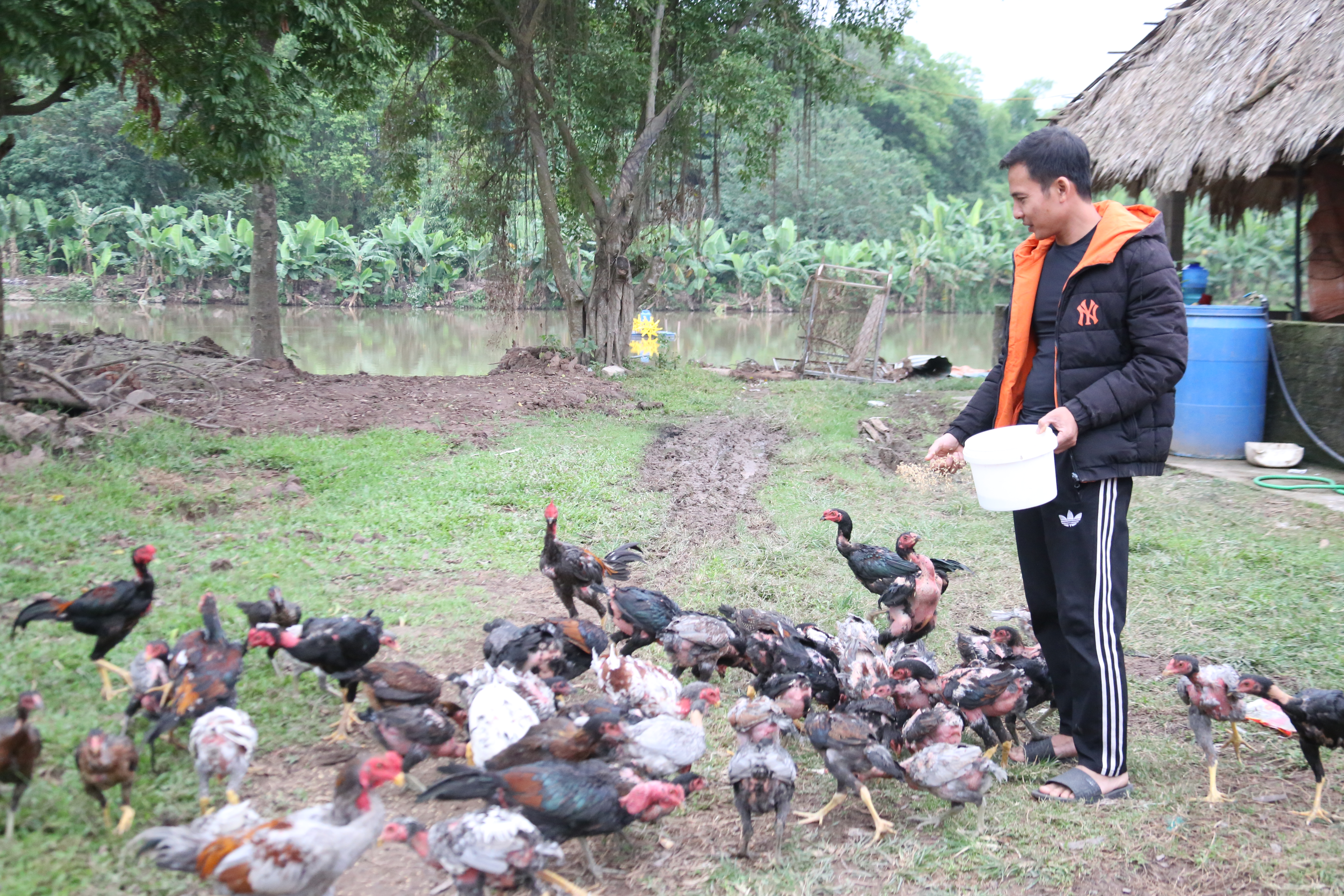 Thất bát vì bão, chàng trai trẻ chuyển hướng làm giàu