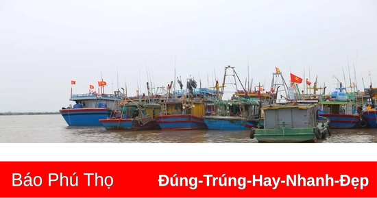 Bão số 8 di chuyển theo hướng Tây Tây Bắc, gió giật cấp 11