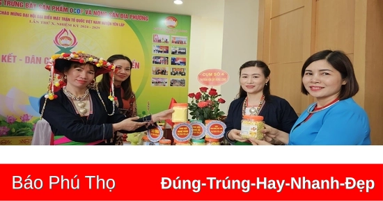 Phụ nữ dân tộc Mường Yên Lập giảm nghèo từ cây nghệ