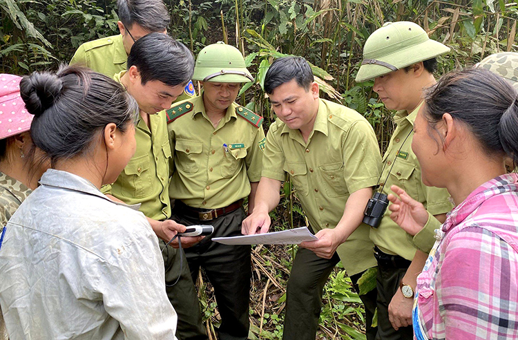 Thêm động lực đầu tư bảo vệ, phát triển rừng