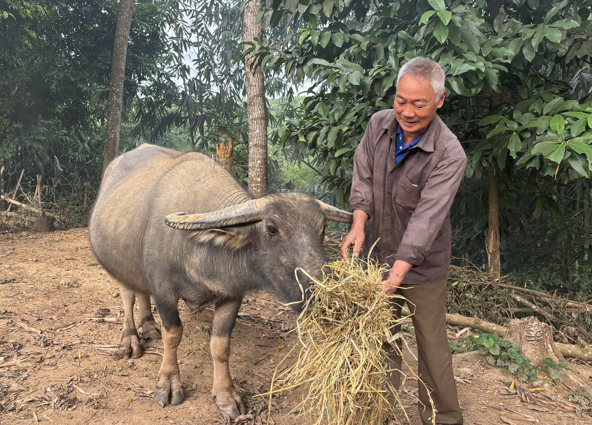 Già làng Hà Văn Nấp