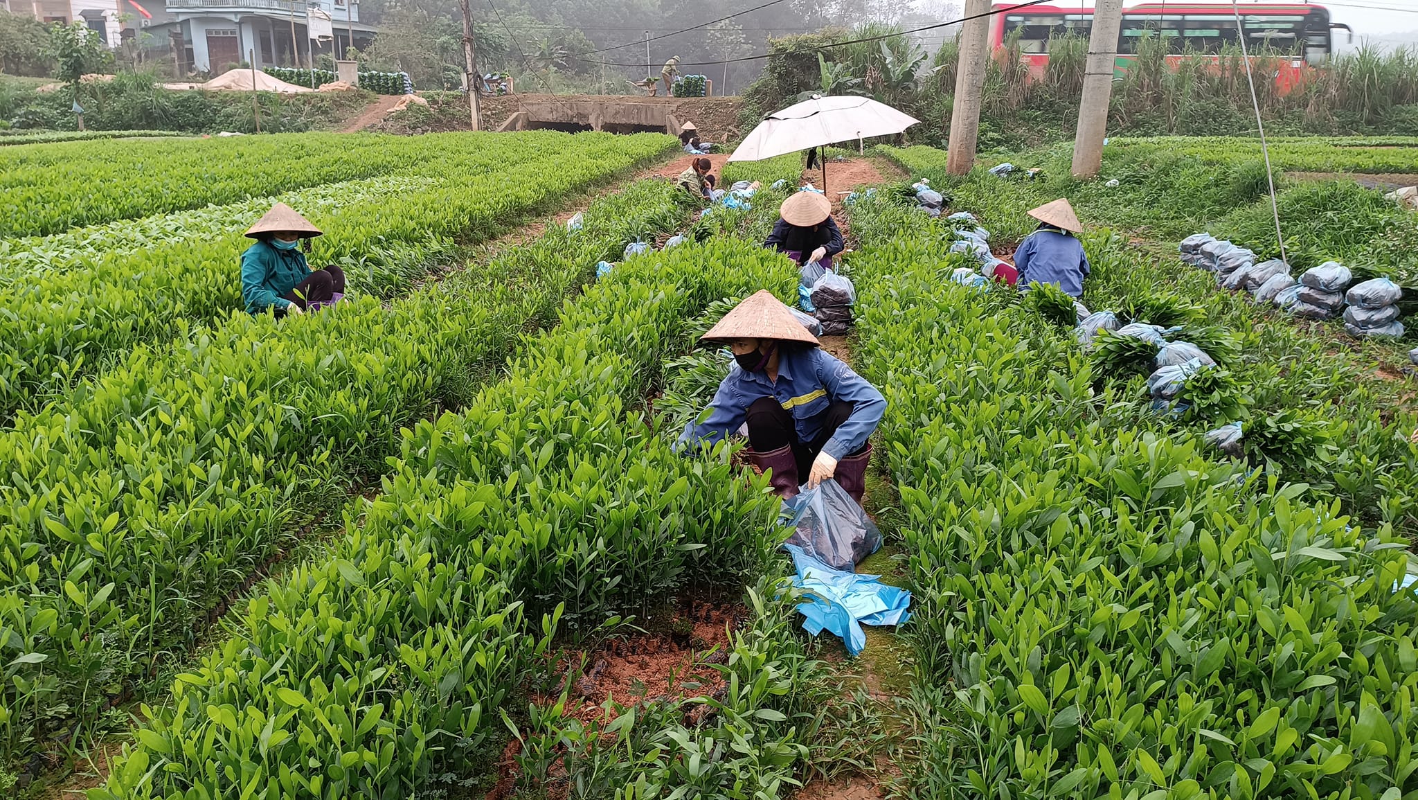 Trạm Thản giảm nghèo bền vững