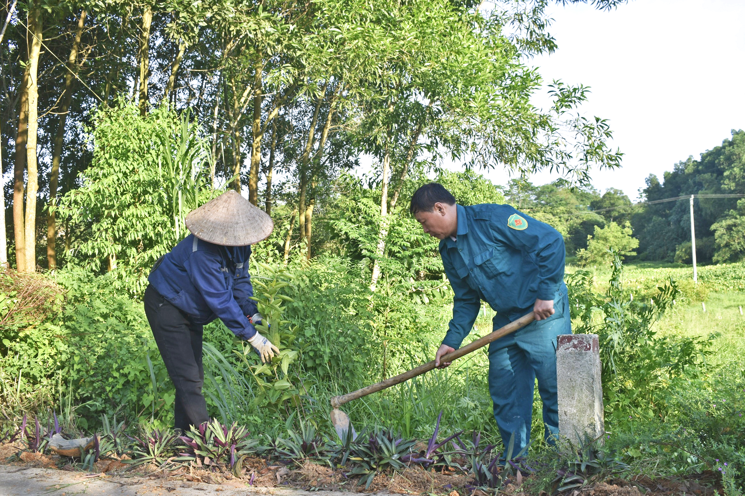 Niềm vui từ khu dân cư nông thôn mới kiểu mẫu