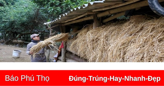 Bắc Bộ tiếp tục rét đậm, vùng núi rét hại, có nơi xuống dưới 5 độ C