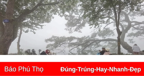 Khu vực Bắc Bộ, Bắc Trung Bộ có sương mù, trời lạnh và rét