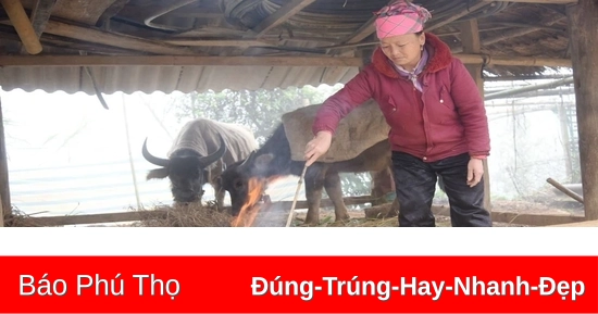 Vùng núi Bắc Bộ trời rét, nhiệt độ có nơi dưới 16 độ C